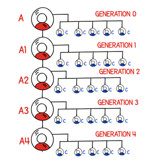 Generation MLM compensation plan | Epixel MLM system